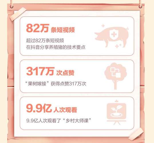 抖音偏向农村化什么意思