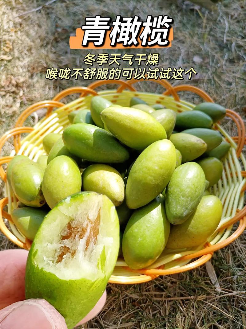 抖音上的橄榄是什么意思