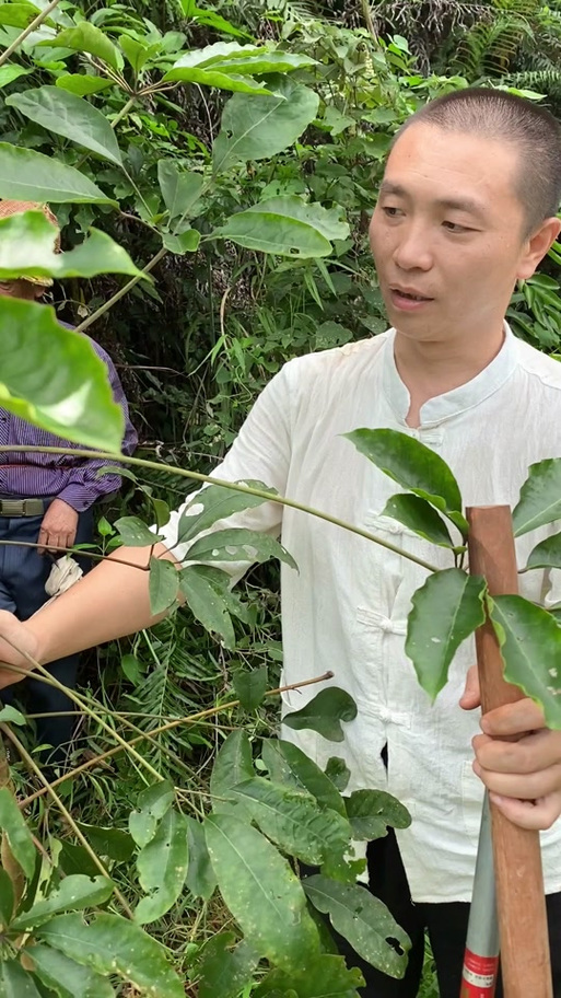 抖音大亩灵是什么意思
