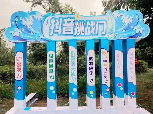 抖音挑战公共场所是什么