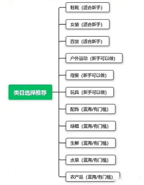 抖音店项目是什么样的