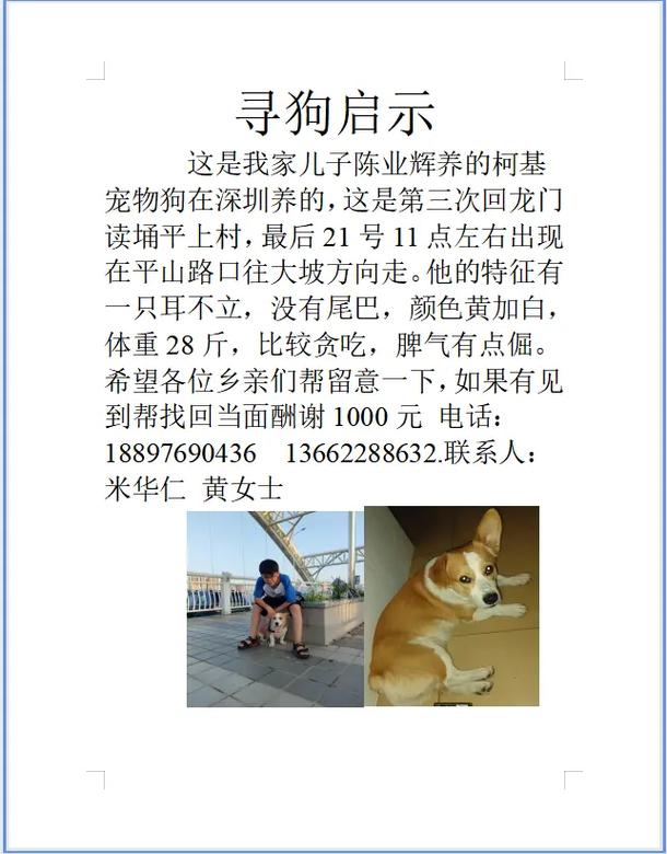 抖音搜同城找狗什么意思