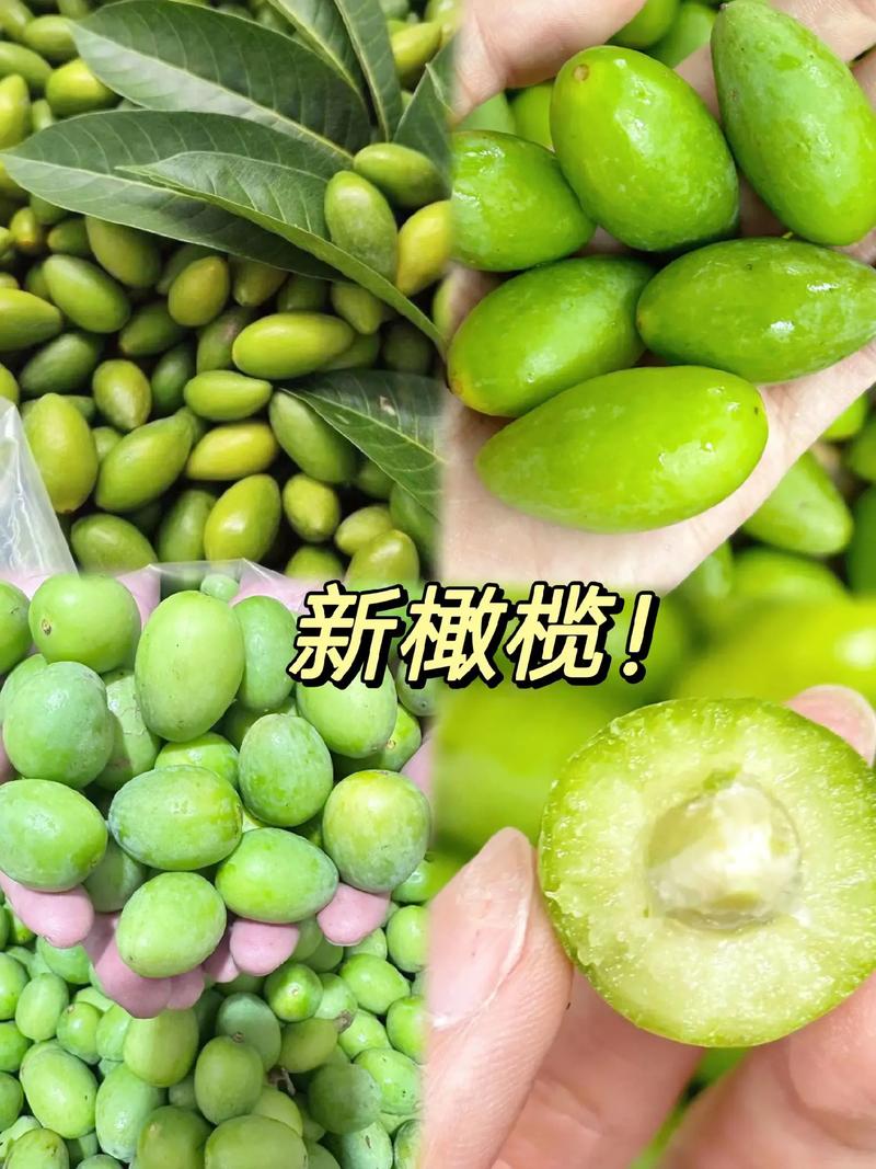 抖音上的橄榄是什么意思