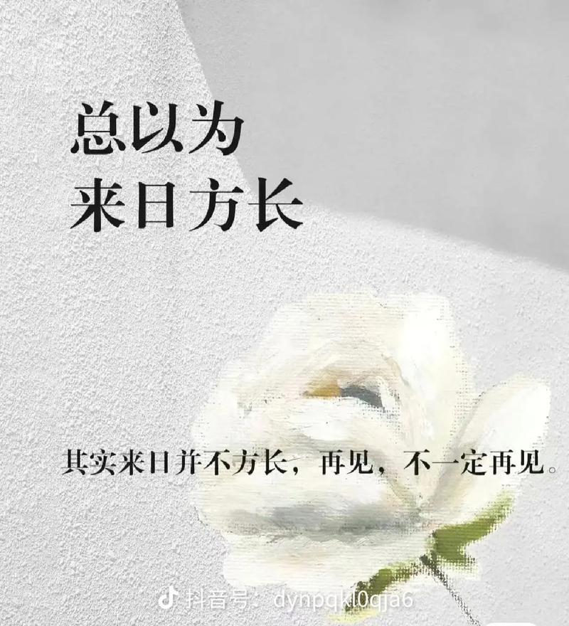 人世间什么最美丽抖音男