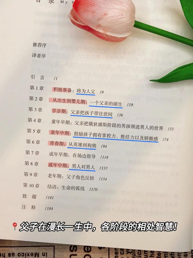 抖音里的父亲们什么意思
