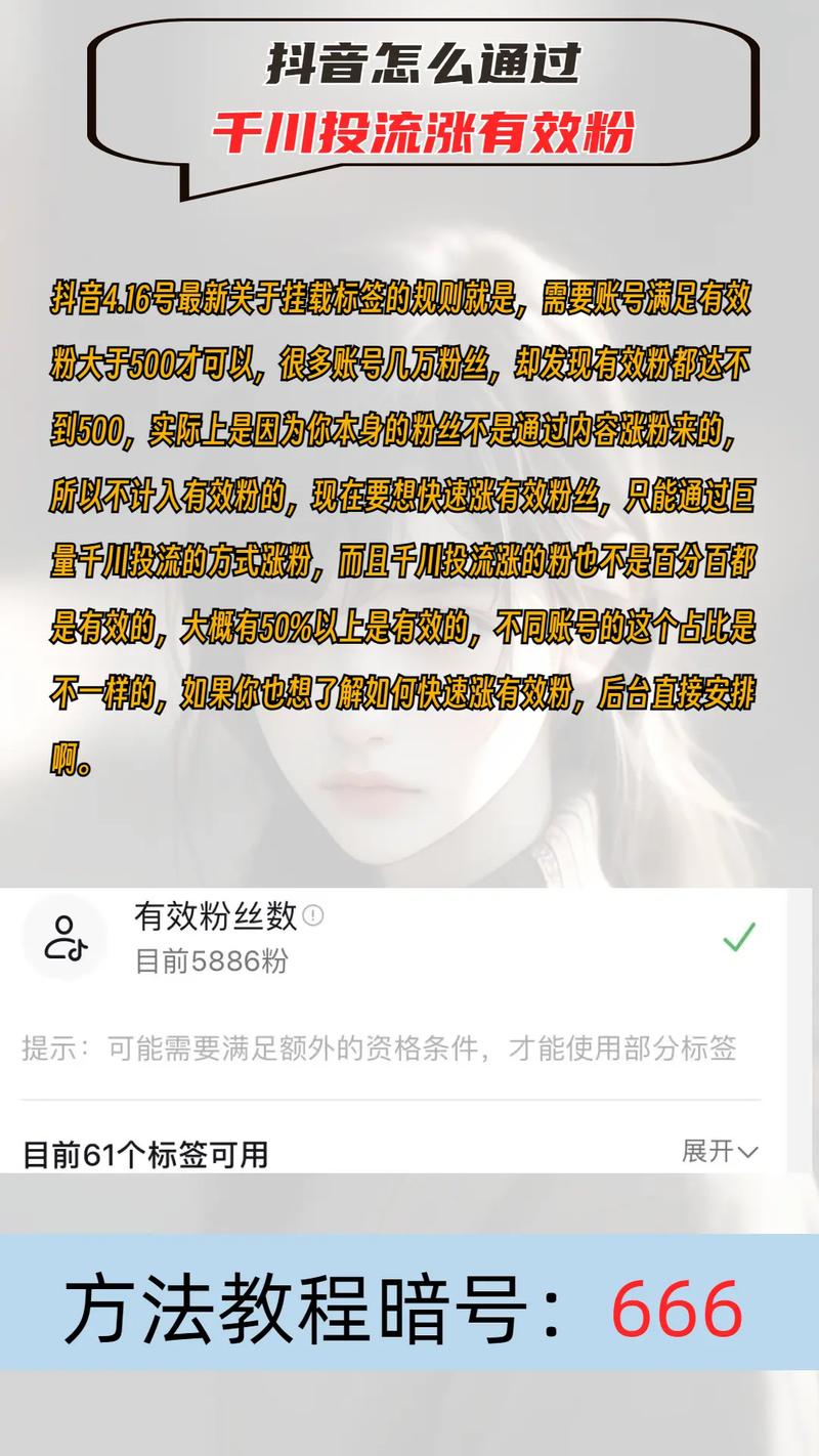 抖音里贴标签什么意思呀