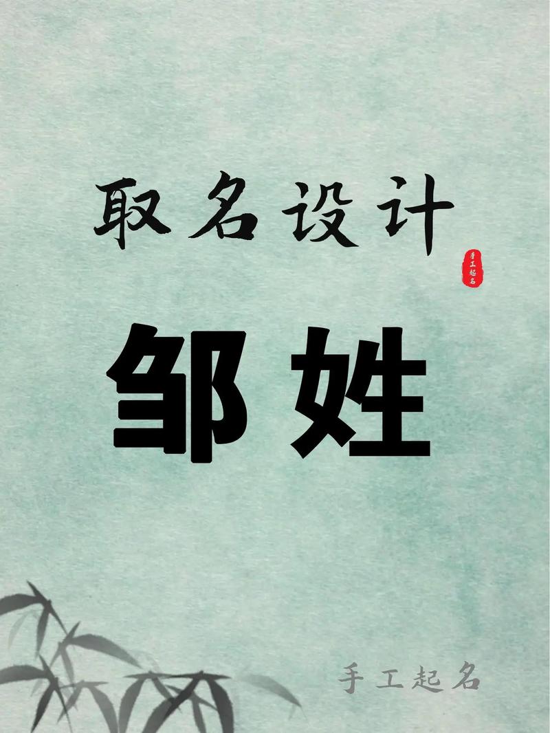 抖音里邹是什么意思呀