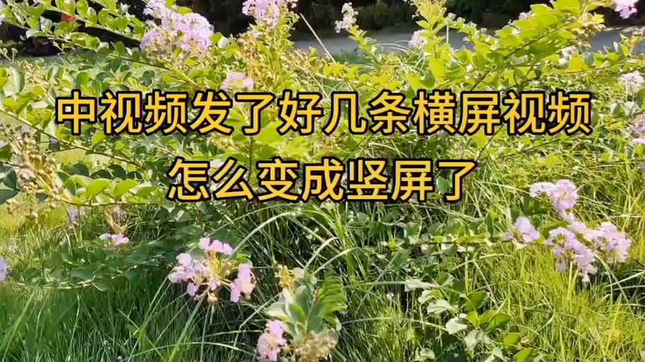 为什么玩抖音不能横屏看