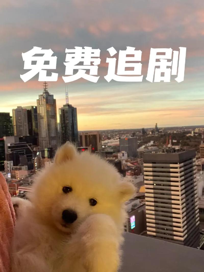 为什么抖音不能追剧了呢