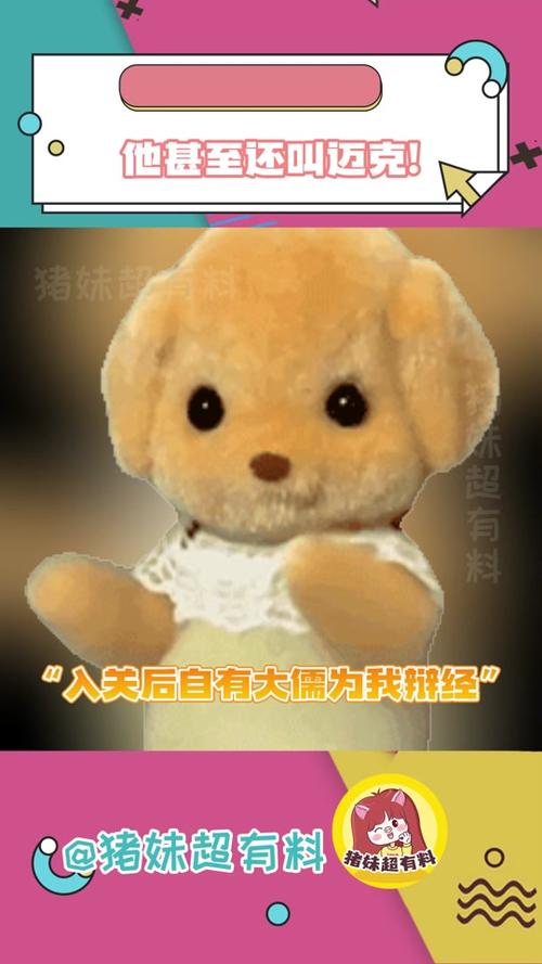 抖音猪小妹谢谢你什么梗