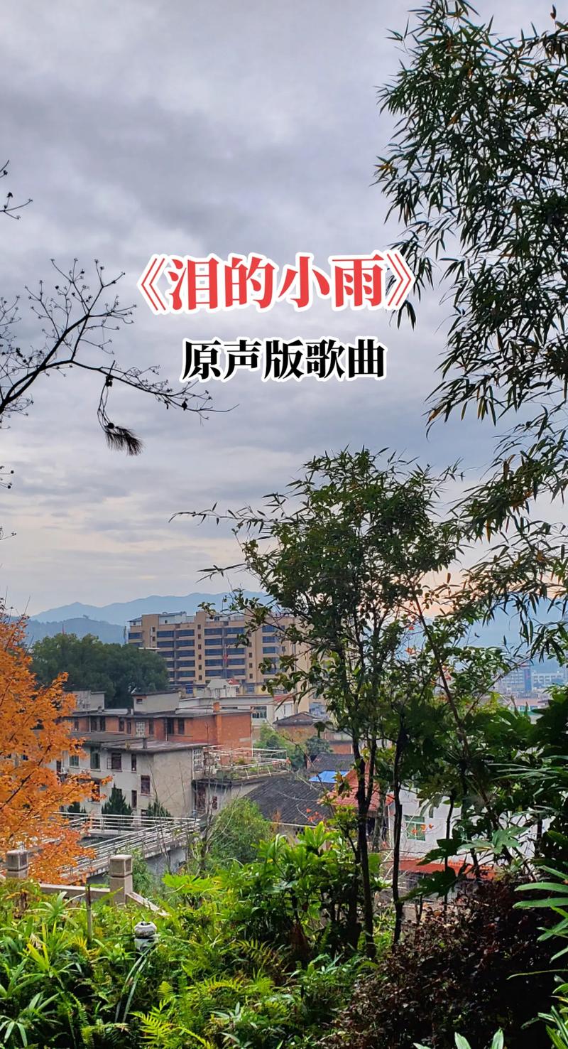 抖音里我愿你是什么歌曲