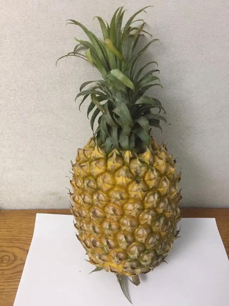 抖音上的菠萝什么意思啊