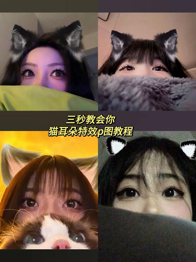 抖音里的猫耳朵是什么梗