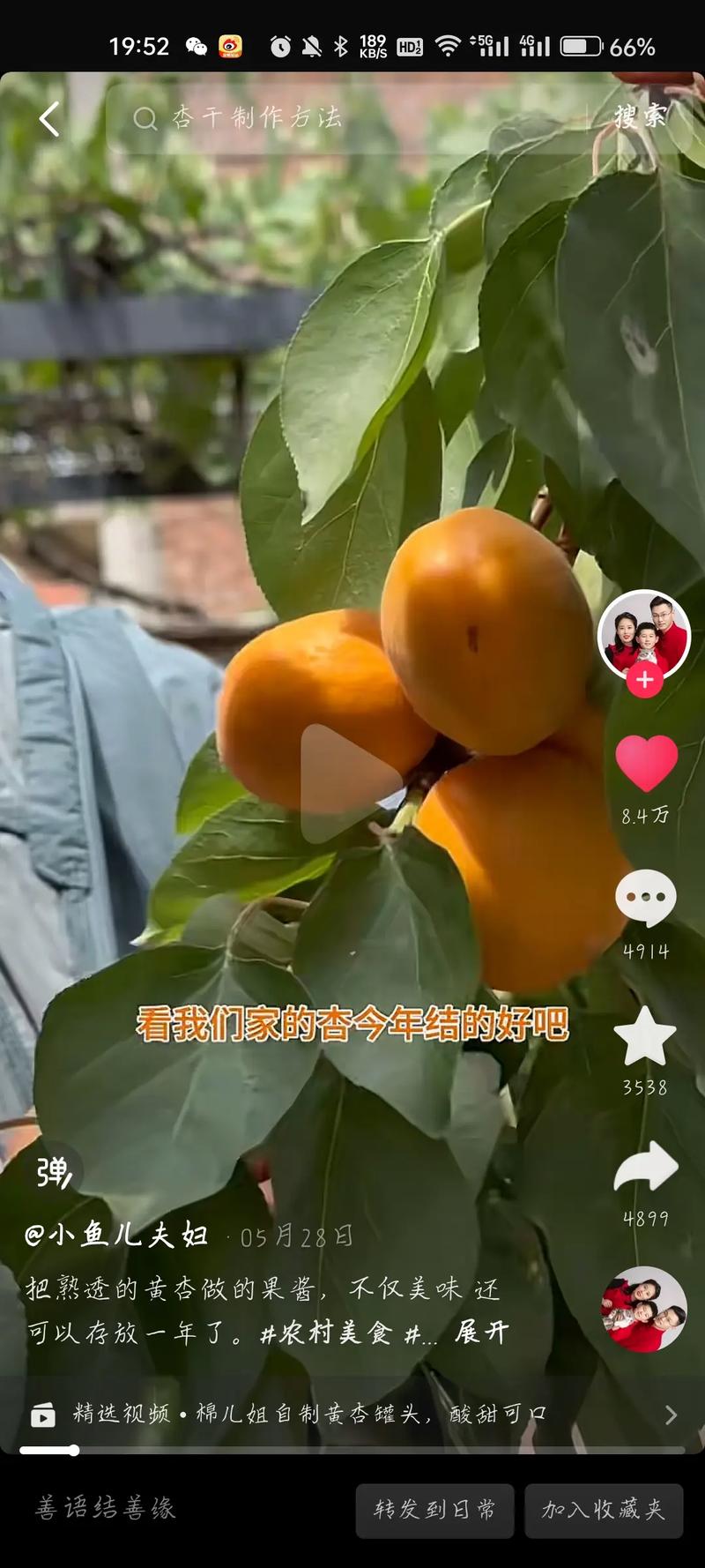 南方人在抖音买什么好
