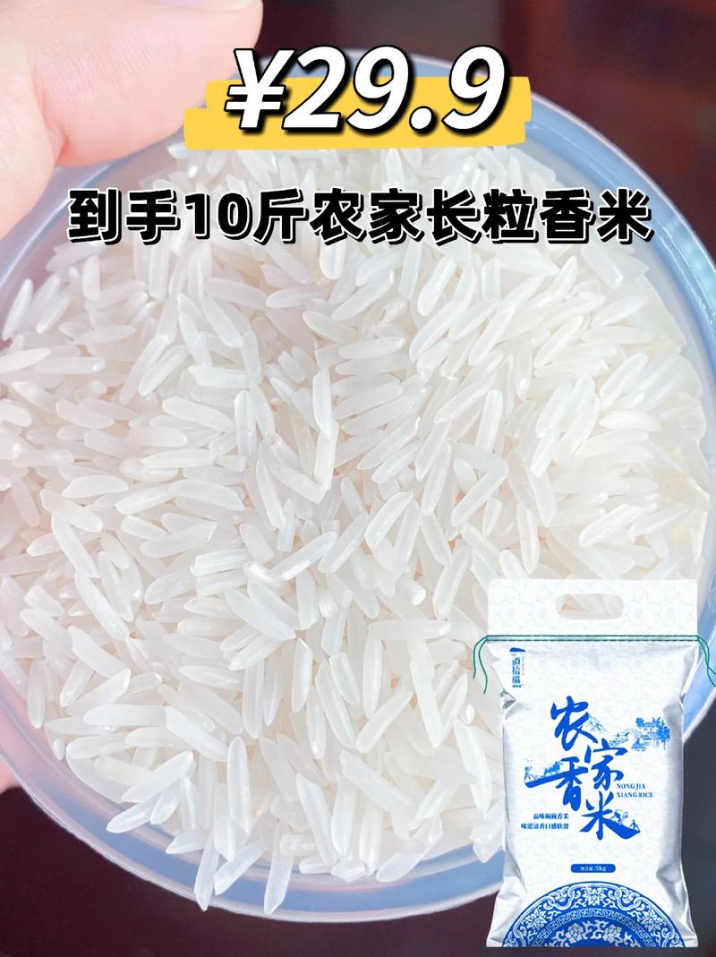 抖音很火的香米是什么米
