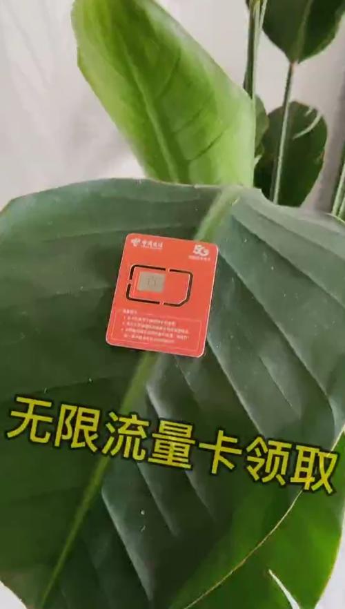 雨花区领取流量卡