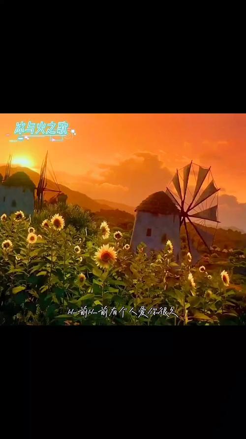 抖音三大治愈歌曲是什么