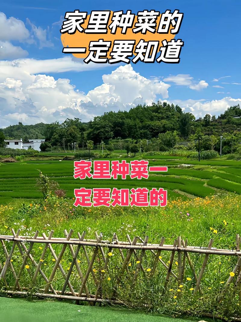 在抖音上种植什么最火呢