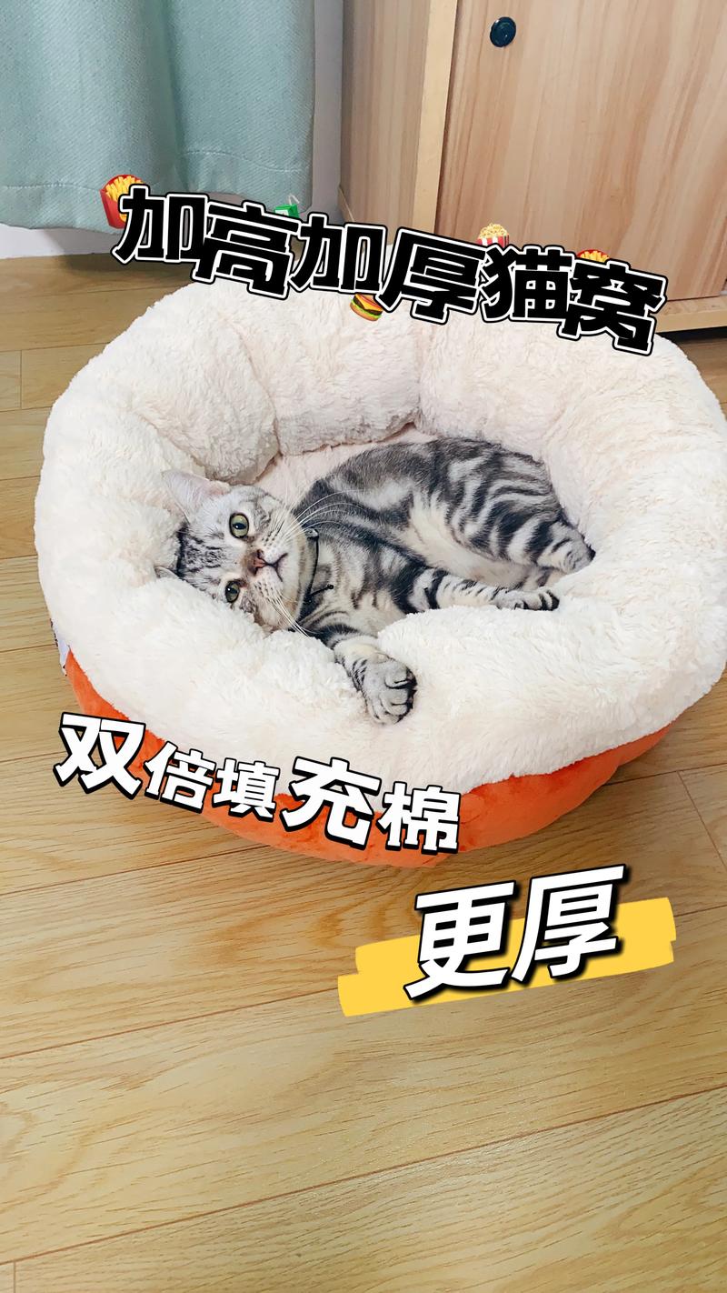 睡觉整蛊抖音网红叫什么