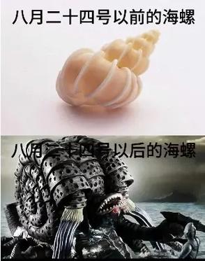 抖音说的海对面是什么海