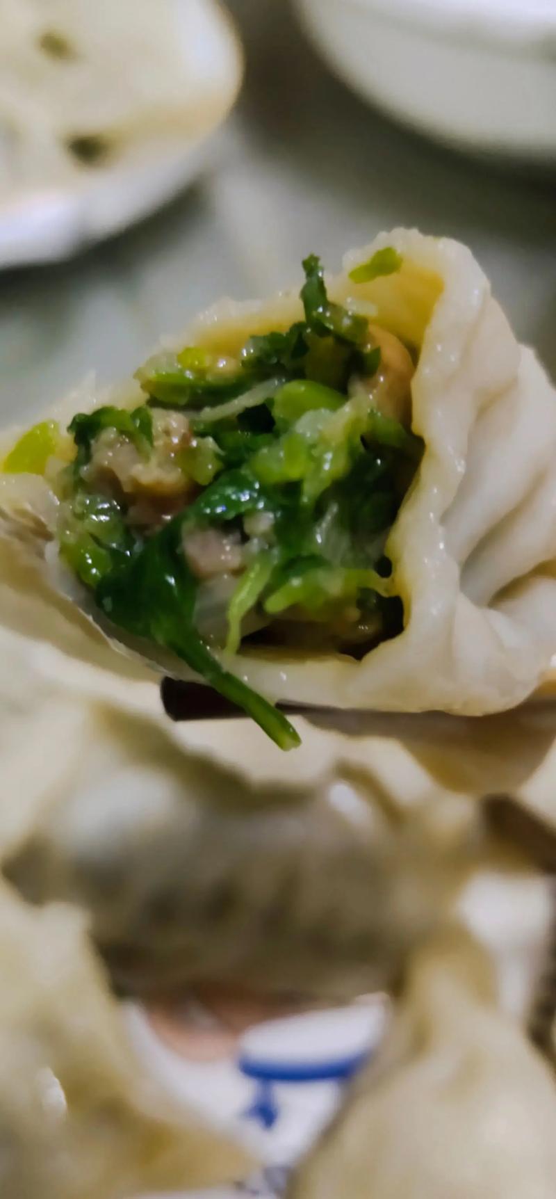 抖音的饺子是什么意思呀