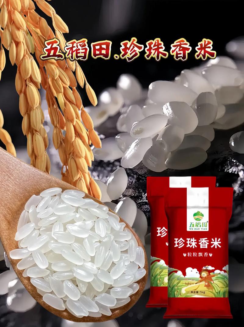 抖音很火的香米是什么米