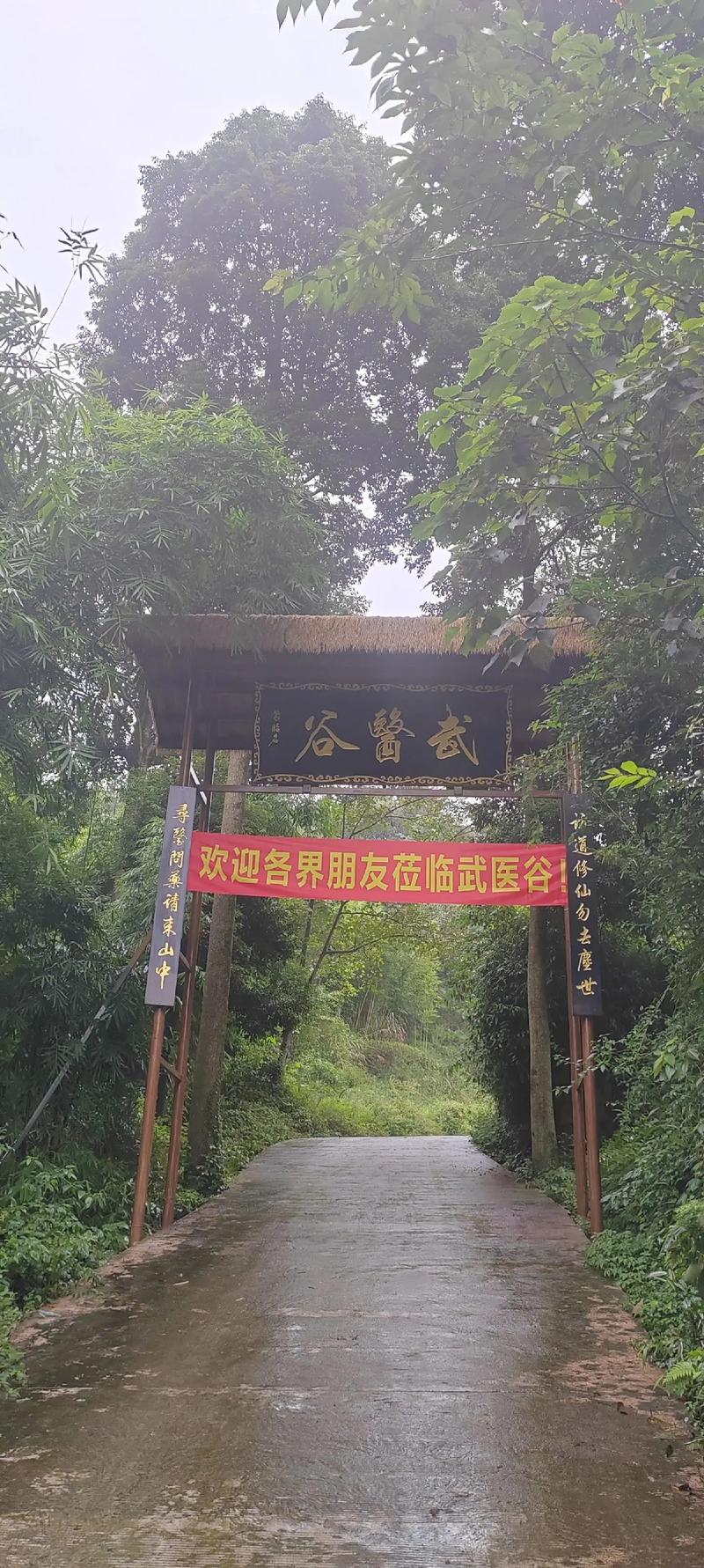 抖音上有一个叫什么武
