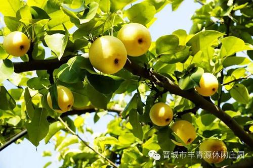 流量卡青源