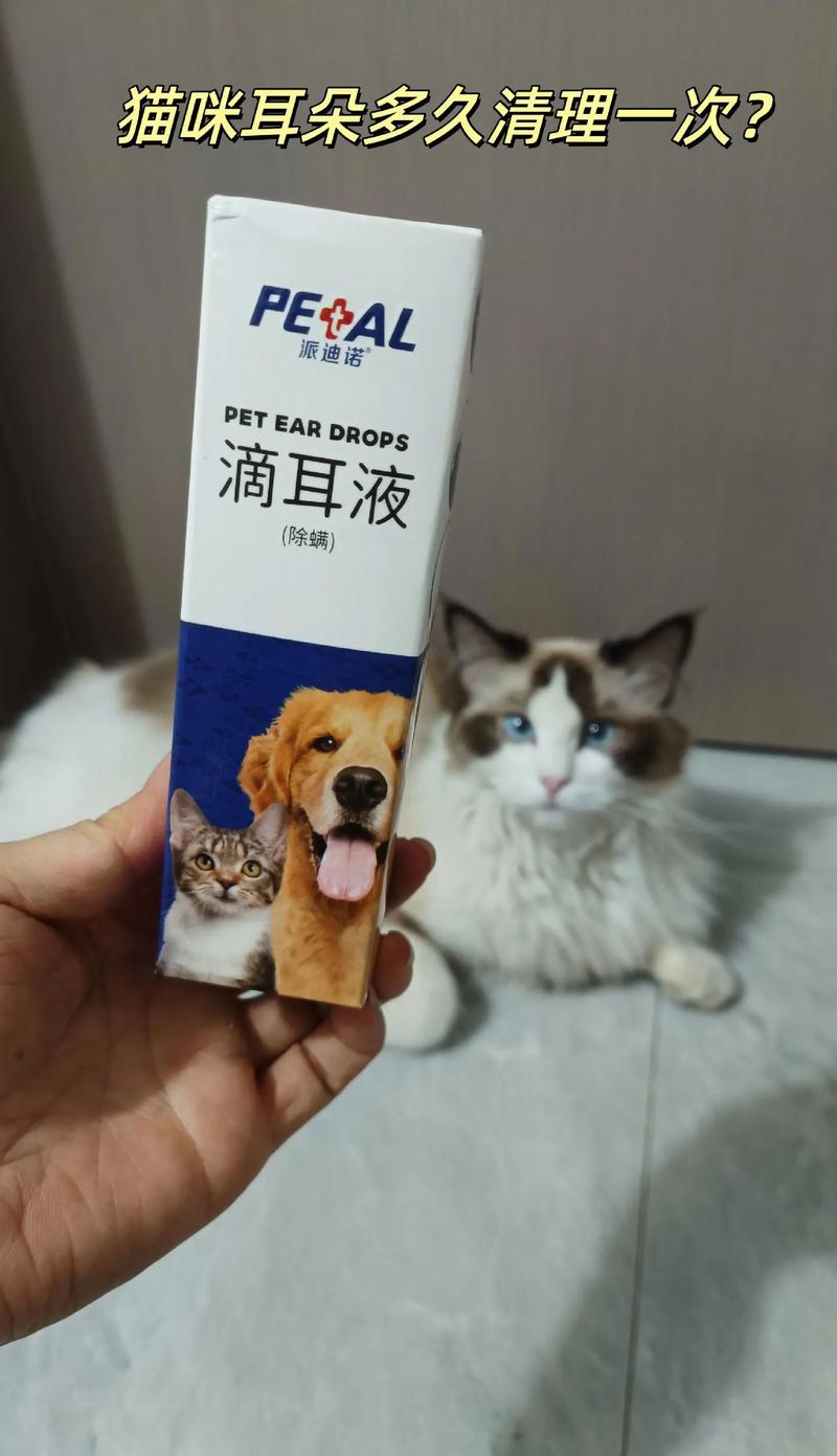 抖音里的猫耳朵是什么梗