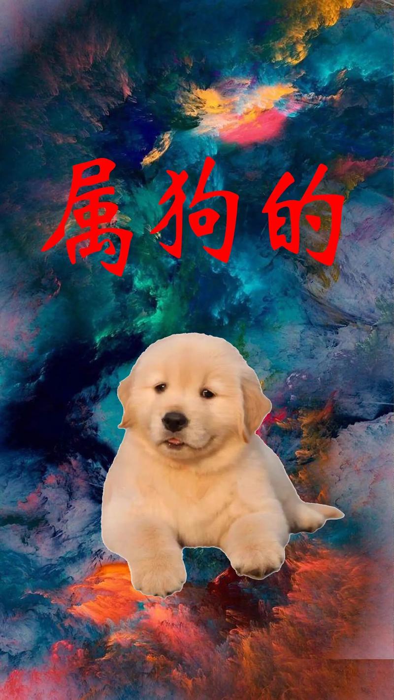 抖音有首歌唱狗什么的