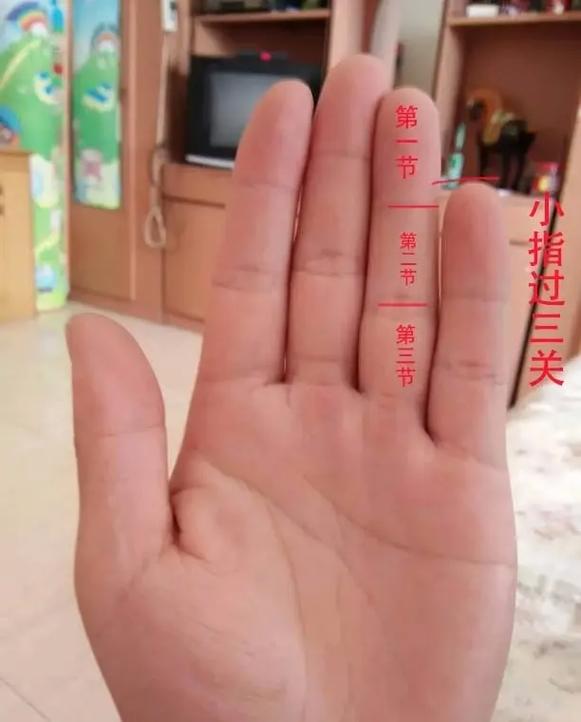 抖音金小指是什么意思啊