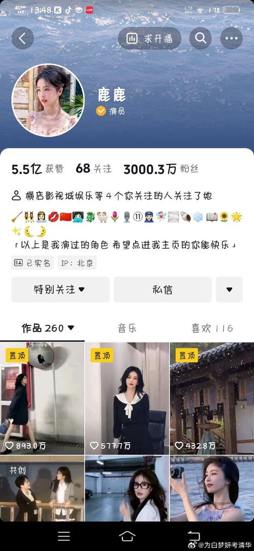 抖音里粉丝指的是什么人