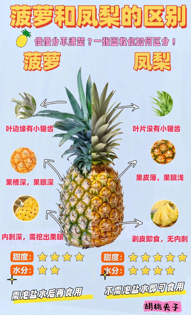 抖音喜欢吃菠萝什么意思