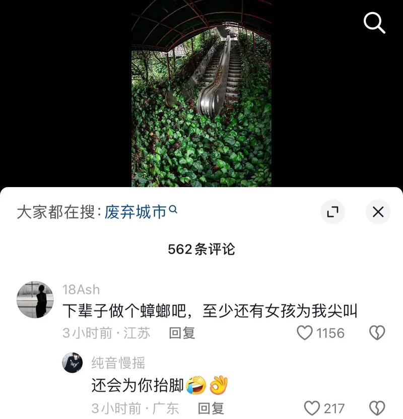 玩抖音最有趣的事是什么