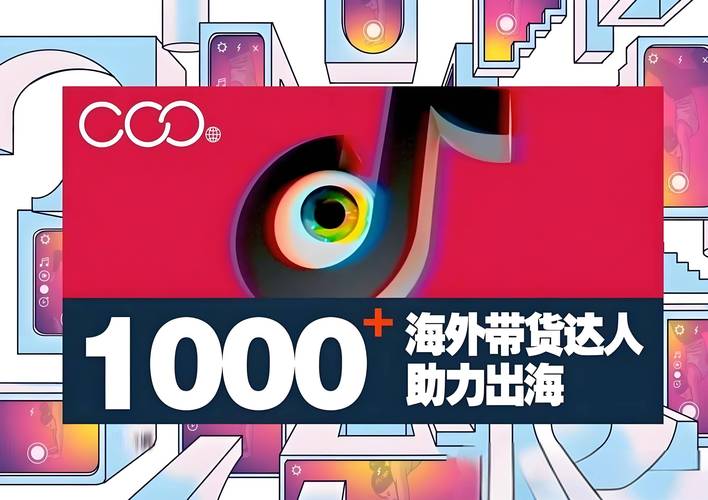 用海外版抖音用什么网络
