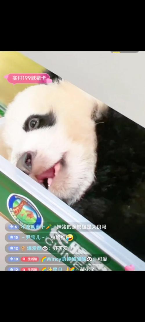 抖音猪小妹谢谢你什么梗
