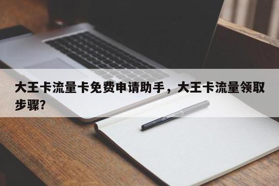 青岛大王流量卡办理申请
