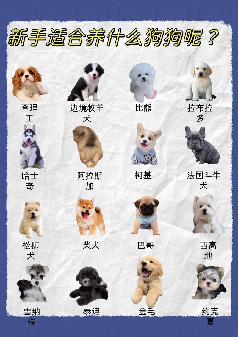 抖音有首歌唱狗什么的