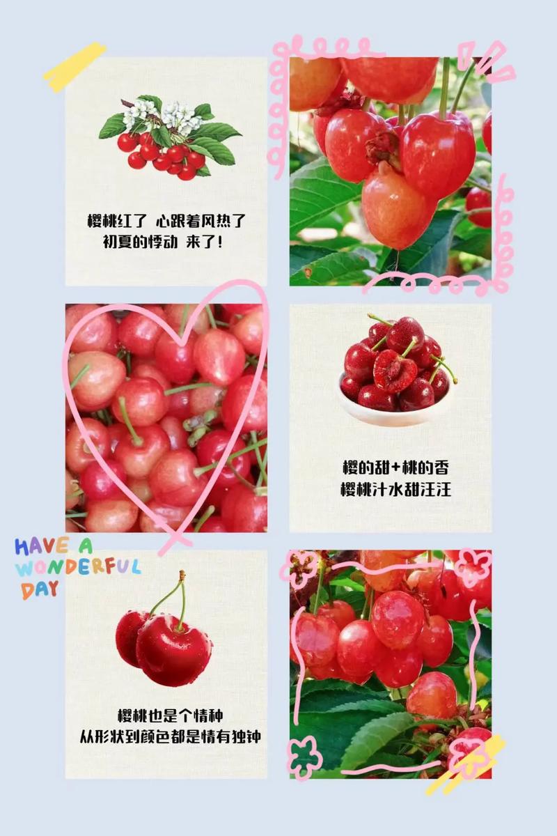 抖音樱桃汁是什么意思