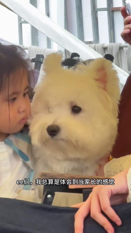 抖音无鱼鳞比偷狗什么梗