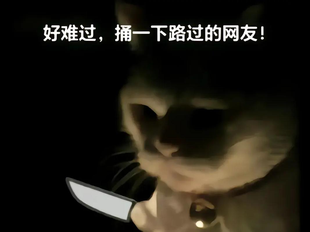 抖音里叫刀什么的猫