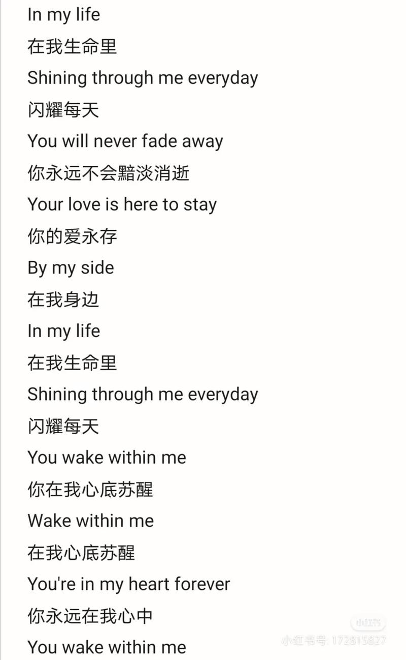 抖音什么歌有英文歌词