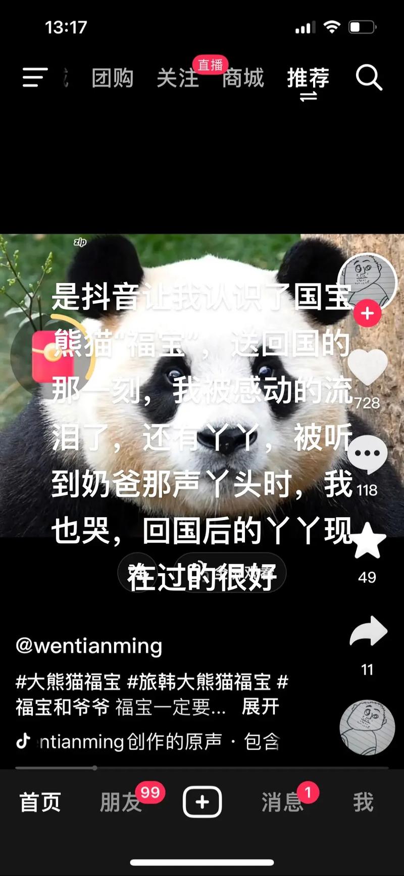 抖音大熊猫的歌曲叫什么