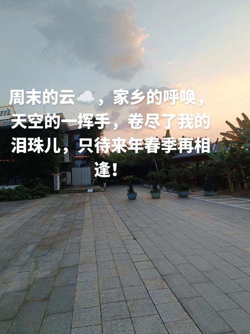 灯火阑珊处抖音什么歌