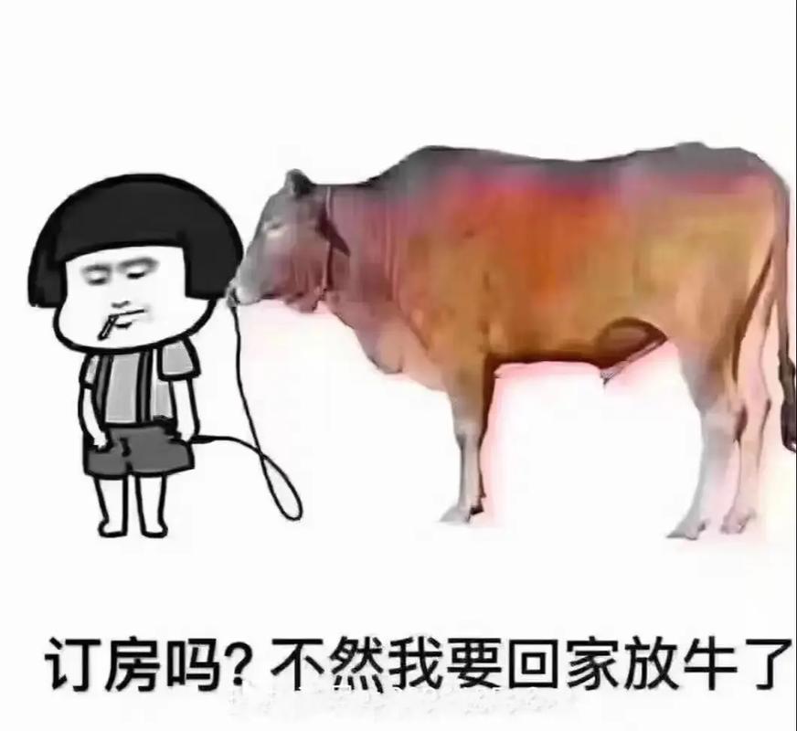 抖音总说对了哈的叫什么