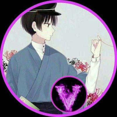 抖音头像前有个v是什么