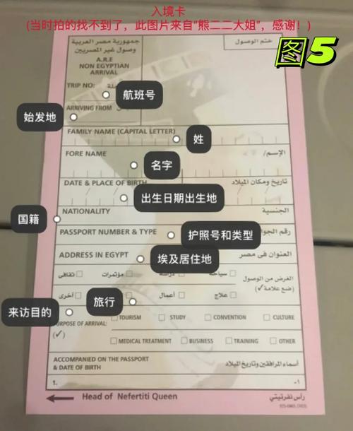 埃及当地卡流量
