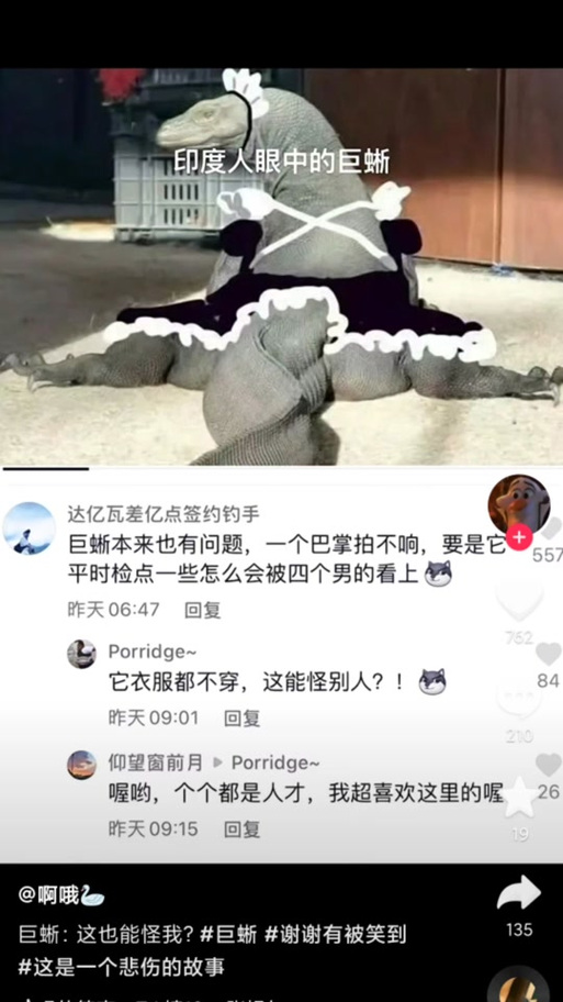 抖音印度巨蜥是什么梗啊