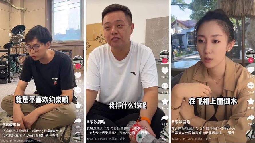 抖音对鸟哥的评价是什么