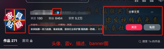 为什么抖音收索结果为空